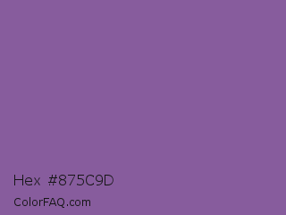 Hex #875c9d Color Image