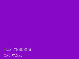 Hex #8808c8 Color Image