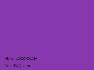 Hex #8838ae Color Image