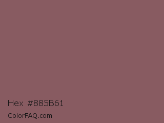 Hex #885b61 Color Image