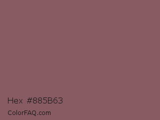 Hex #885b63 Color Image