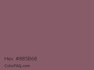 Hex #885b68 Color Image