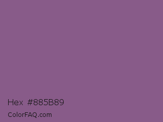 Hex #885b89 Color Image