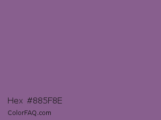 Hex #885f8e Color Image