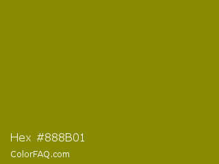Hex #888b01 Color Image