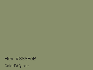 Hex #888f6b Color Image