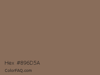 Hex #896d5a Color Image