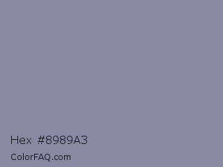 Hex #8989a3 Color Image