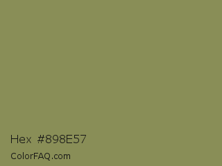Hex #898e57 Color Image