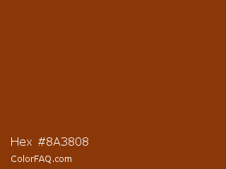 Hex #8a3808 Color Image