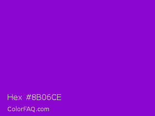 Hex #8b06ce Color Image