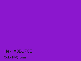 Hex #8b17ce Color Image