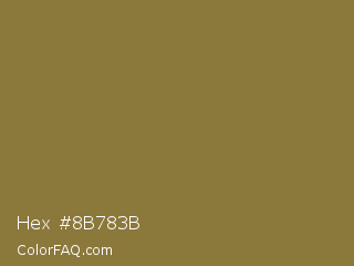 Hex #8b783b Color Image