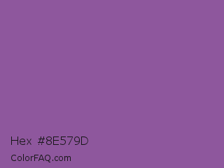 Hex #8e579d Color Image