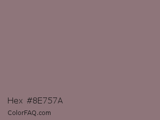 Hex #8e757a Color Image