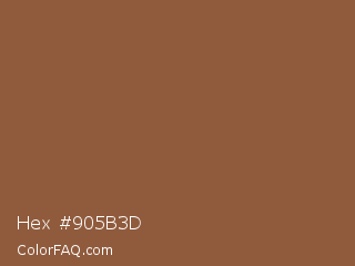 Hex #905b3d Color Image