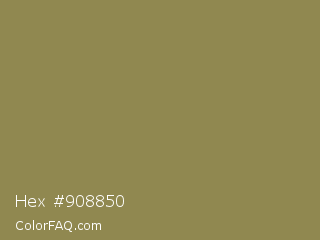 Hex #908850 Color Image