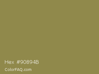 Hex #90894b Color Image