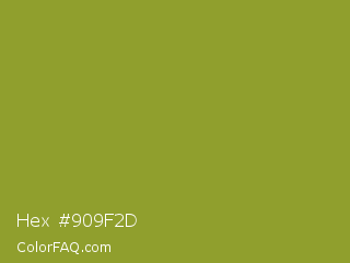 Hex #909f2d Color Image