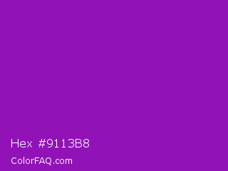 Hex #9113b8 Color Image