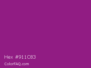 Hex #911c83 Color Image
