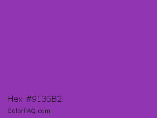 Hex #9135b2 Color Image