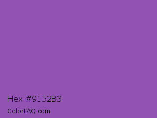 Hex #9152b3 Color Image
