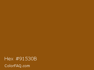 Hex #91530b Color Image