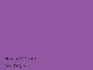 Hex #9157a3 Color Image