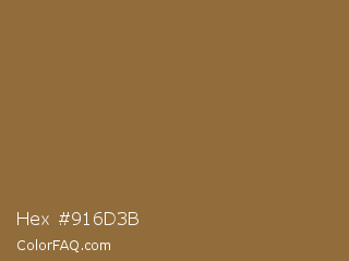 Hex #916d3b Color Image
