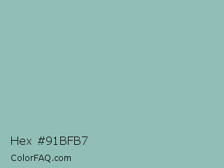 Hex #91bfb7 Color Image