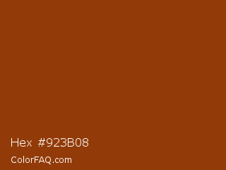 Hex #923b08 Color Image