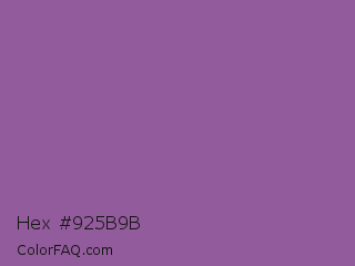 Hex #925b9b Color Image