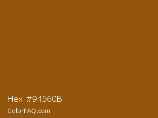 Hex #94560b Color Image