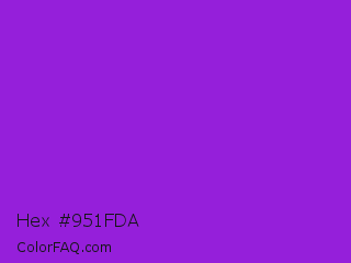 Hex #951fda Color Image