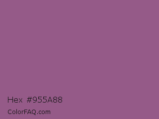 Hex #955a88 Color Image