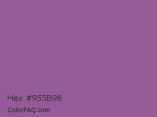 Hex #955b98 Color Image