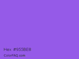 Hex #955be8 Color Image