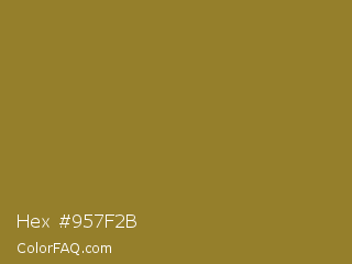 Hex #957f2b Color Image