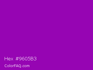 Hex #9605b3 Color Image