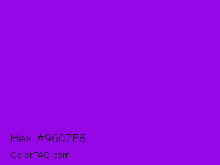 Hex #9607e8 Color Image