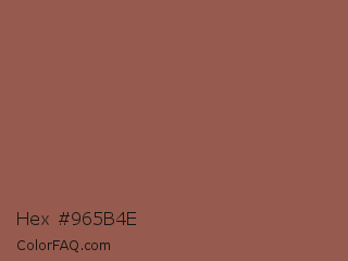 Hex #965b4e Color Image