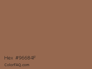 Hex #96684f Color Image