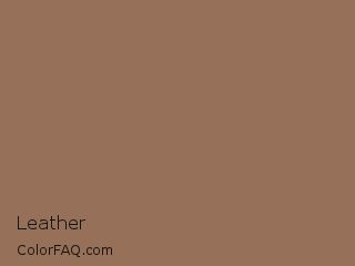 Hex #967059 Leather Color Image