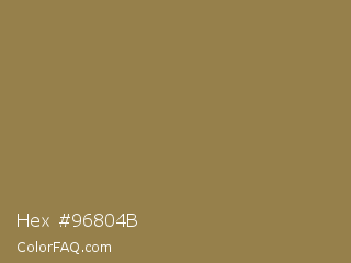 Hex #96804b Color Image
