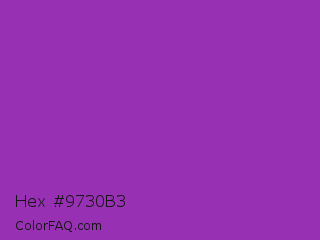 Hex #9730b3 Color Image