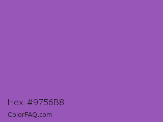 Hex #9756b8 Color Image