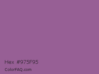 Hex #975f95 Color Image