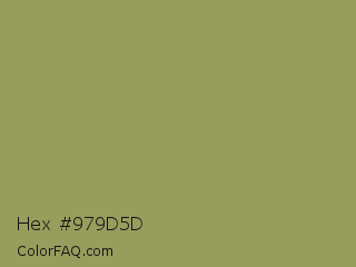 Hex #979d5d Color Image