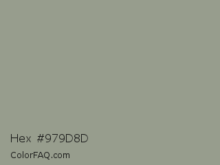 Hex #979d8d Color Image